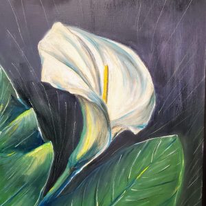 123 Calla Lilly