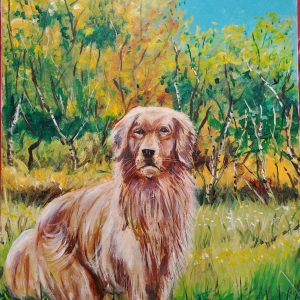044 Golden Lab