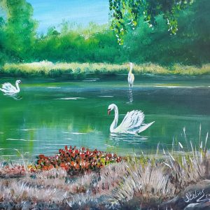 104 Swans in lake