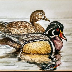086 The Ducklings