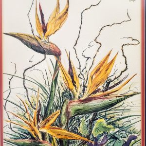 122 Bird Of Paradise