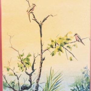 085 Early Morning Chirps