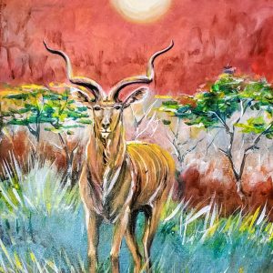 212 Kudu