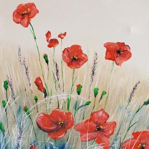 164 A field with poppies