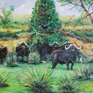 172 Buffalo in the Marsh