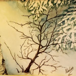 178 Buried in snow