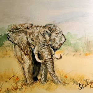 154 The Lonely Elephant