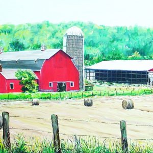 252 Avon Farmland