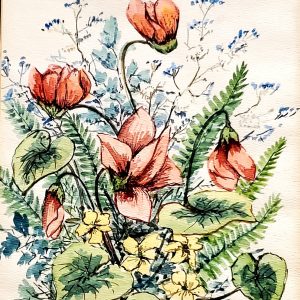 464 My mothers plant