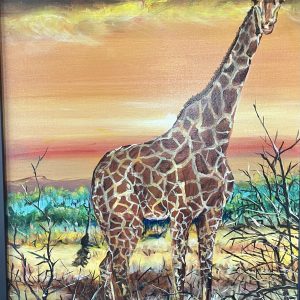 430 Giraffe