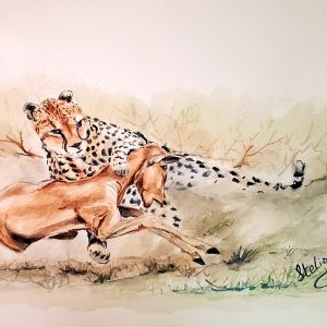 501 Cheetah Hunting Deer