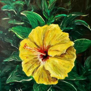 529 Yellow Hibiscus