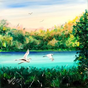 535 Colorful Lake