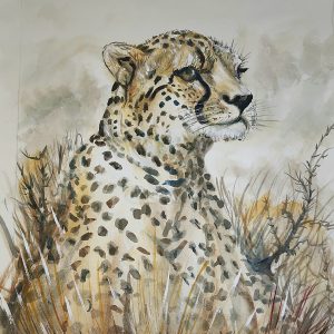 544 Cheetah on the prowl