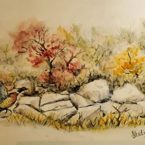 565 Pheasant on the run