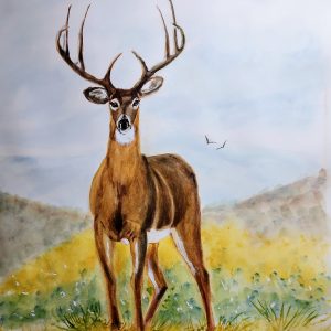 607 8 Point Buck American Beauty