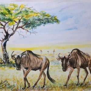 617 The wildebeest in the heat of summer