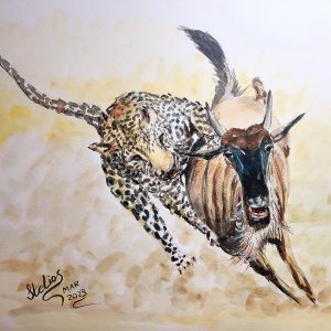 631 Leopard on the kill