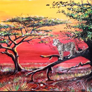 638 Sunset over the Acacia tree
