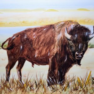 642 Buffalo