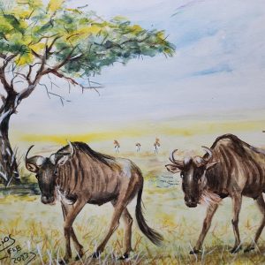 643 The african heat