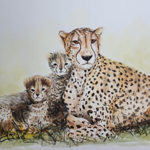 654 Cheetah family portrait