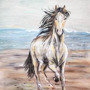 703 Horse run