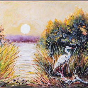 713 Sunset in the marshland