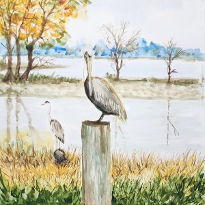 724 Beauty of the marsh